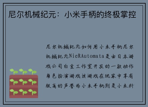 尼尔机械纪元：小米手柄的终极掌控